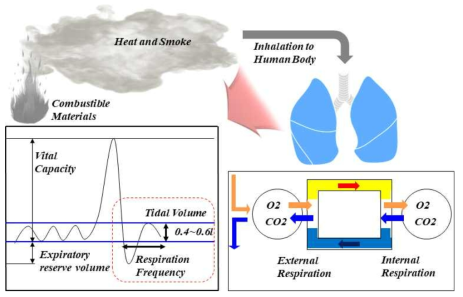 호흡량 변화에 따른 유해가스 흡입량 변화 개략도