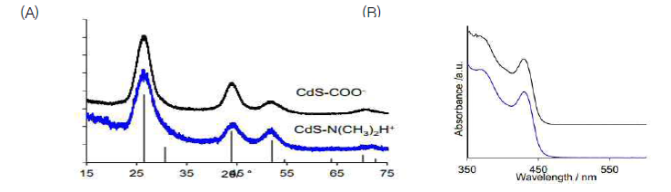 CdS 나노입자의 (A) XRD스펙트럼 (B) UV-Vis 흡수 스펙트럼
