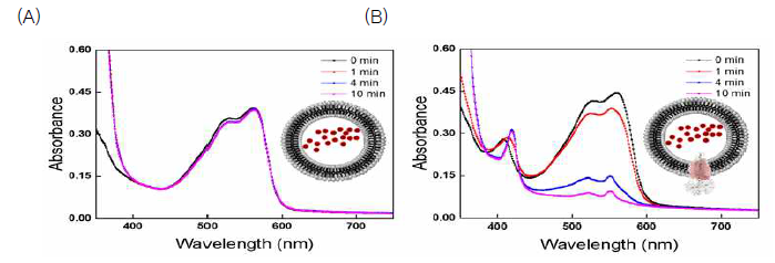 친수성 RR120이 동시에 캡슐화된 프로테오리포좀의 흡광도를 통한 산화/환원 분석 (A)와 (B)는 동시에 RR120을 캡슐화하고, (B)만이 MtrCAB가 같이 삽입된 형태