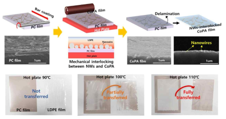 나노와이어가 기계적으로 맞물린 CoPA 필름 제작 방법