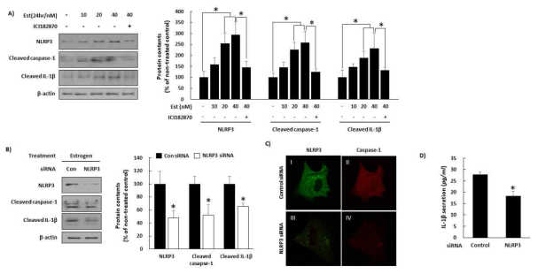 Estrogen이 자궁내막세포의 NLPR3 inflammasome signaling과 IL-1β 발현에 미치는 영향