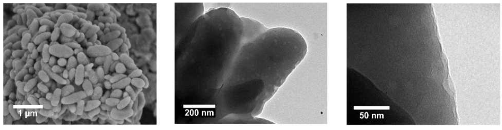 SEM and TEM images of EquusMel show the elliptical microstructure with mesoporous and layered structure within the individual particles