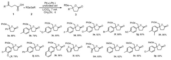 Electrochemical synthesis of selenylated lactones