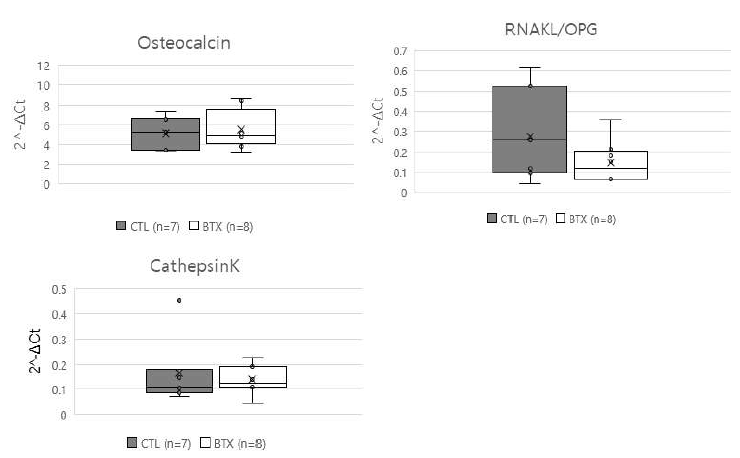 Botox 투여 3주 후의 femur에서 osteocalcin, RANKL/OPG, CatK, 발현량 비교