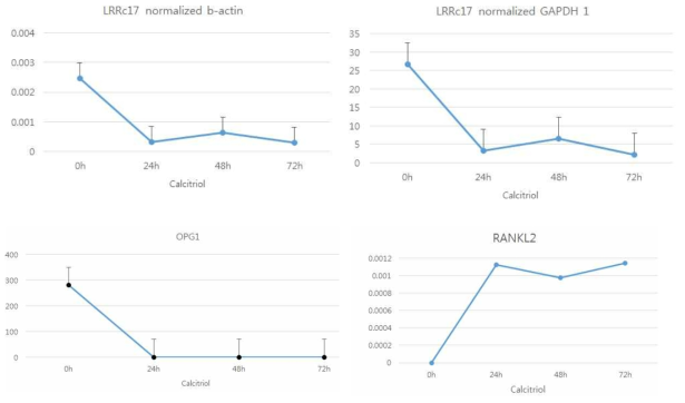 Calcitriol 처리 후 MC3T3-E1 cell에서 LRRc17, OPG, RANKL mRNA expression 변화