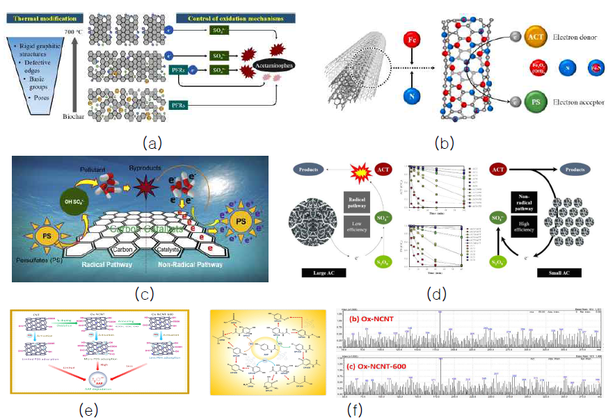 탄소계 촉매의 항생제 제거 메커니즘: (a) 열 개질 biochar, (b) Fe/N-CNT, (c) 흑연 구조, (d) 활성탄, (e) CNT/Ox-CNT/Ox-N-CNT, (f)