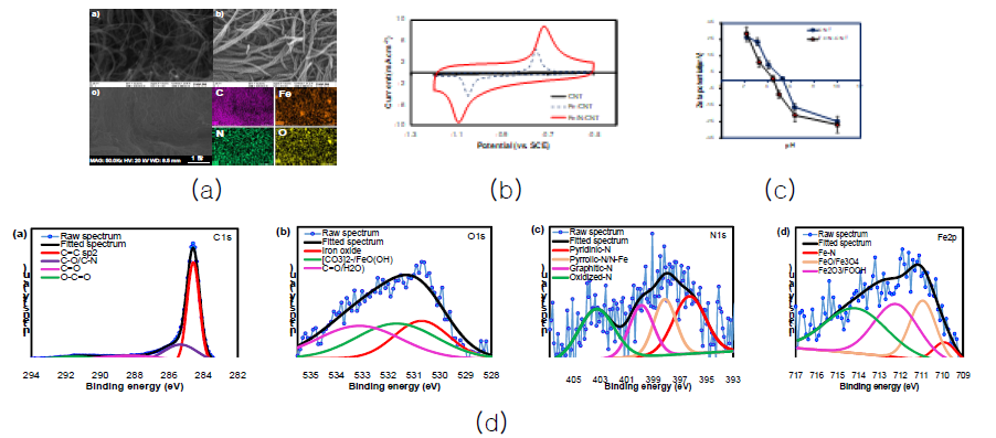 개질 Fe/N/CNT의 (a) SEM images, (b) cyclic voltametry, (c) zeta potential, (d) XPS 분석결과