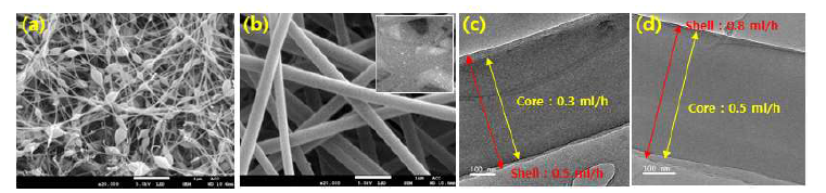 전기방사 공정 조건에 따른 fiber의 SEM 이미지와 TEM 이미지; 표 1의 (a)1번 샘플, (b)10번 샘플, (c)9번 샘플, (d)10번 샘플