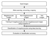 Procedure of deep learning analysis