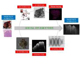 광결합현미경촬영법, 조직병리 기술과 머신러닝을 이용한 종양구조의 입체적 분석 연구