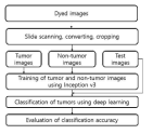 Procedure of deep learning analysis