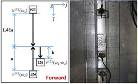 Experimental setup with S1, A1 modes and two directions: Forward direction S1, A1 modes