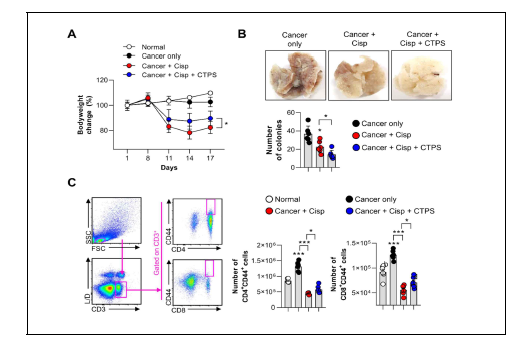 CTPS and cisplatin increase the anti‐metastasis activity in C57BL/6 mice