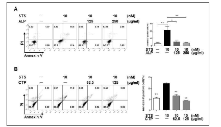 Effect of ALP(A) and CTP(B) on the apoptotic cell death in STS-treated Raw264.7 cells