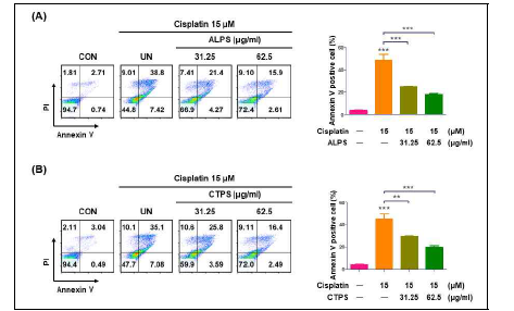 Effect of ALPS(A) and CTPS(B) on the apoptosis in cisplatin-treated Raw264.7 cells