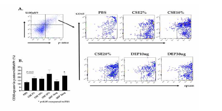 CSE 혹은 DEP 투여 후 CD45-epcam+pmtor+S100a8/9+ 세포 변화 비율 변화[FACS(A), %(B)
