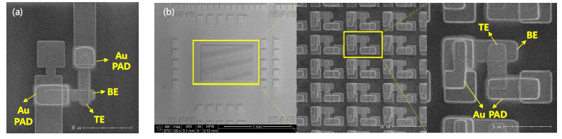 Crossbar 구조로 집적된 신소자의 SEM Image (a) 1R TEG, (b) Array TEG