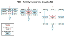 Wide Array Reliability Characteristics Evaluation TEG 설계