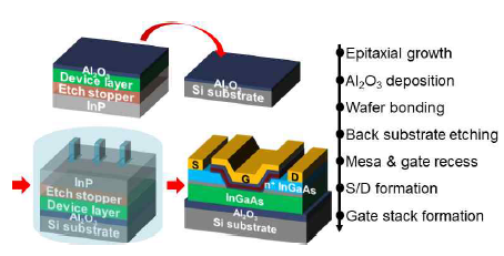 InGaAs synaptic transistor소자 제작 공정 모식도