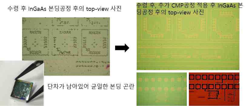 추가 CMP 전/후의 InGaAs층 본딩 양상 비교