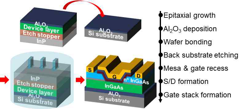 InGaAs synaptic transistor 소자 제작 공정 모식도