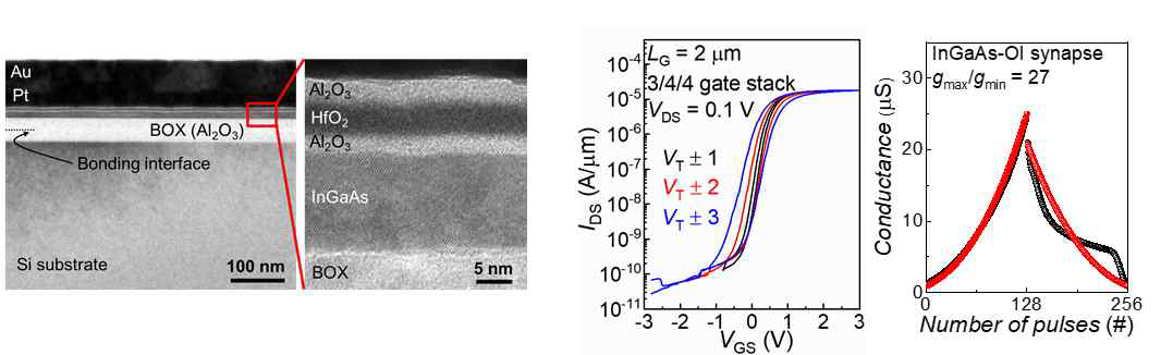 제작된 InGaAs Synaptic Transistor의 단면 TEM 이미지 및 전기특성