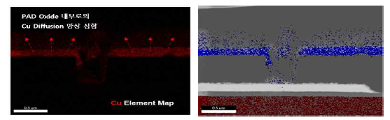 Via 집적형 원자스위치 Pad Metal 형성 후 STEM-EDS(Cu) 분석이미지