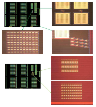 CMOS 회로 연계 집적공정이 완료된 Via 집적형 원자 스위치 평면구조 (Cell Size 10㎛*4㎛ 기준 Unit 및 Array TEG 형성 결과)