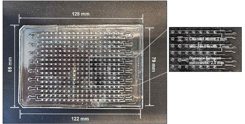 Master Mold for Fabrication of a PDMS-based Microwell Fluidic Array