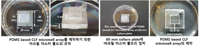 본 연구실 개발 저비용, 효율적인 PDMS 기반 Cell-Loss-Fee (CLF) microwell array (100 microwells 포함)의 제작