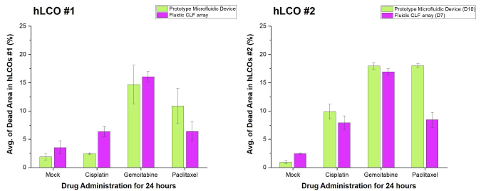 시제품 미세유체칩과 미세유체 CLF microwell array 챔버 내 간암 오가노이드에서 약물 반응에 의한 사멸세포의 비교