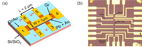 (a) Gr/Au/Pb 소자의 non-local measurement 구조 (b) 제작된 샘플의 광학현미 경 사진
