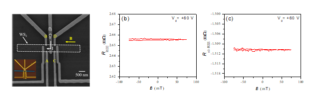 Few-layer WS2 의 inverse Rashba-Edelstein 효과 검출을 위해 WS2 층으로 스핀주입을 시도하였다. (a) 제작된 소자의 전자현미경 사진 (b) 상온에서 측정한 local transverse voltage between A-B contacts (c) 상온에서 측정한 non-local transverse voltage between C-D contacts