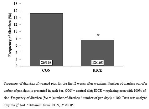 이유자돈 사료내 현미를 급여했을 때 돼지의 설사율