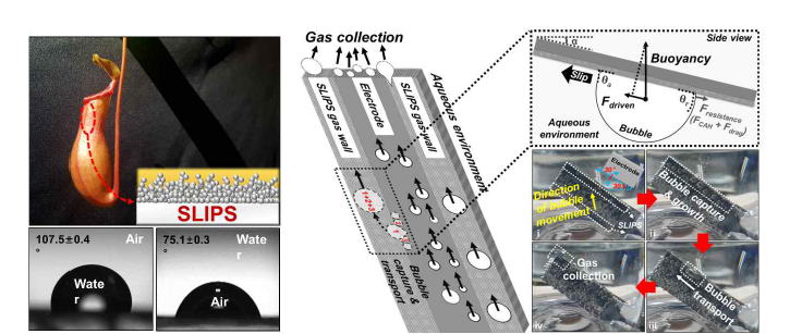 (좌) SLIPS의 구조, (우) SLIPS가 결합된 전극에서의 기포 거동 원리 및 현상