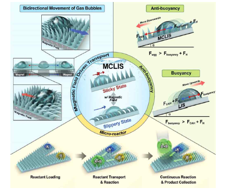 MCLIS의 주요 특성 및 응용 분야: 자기장에 따른 가역적인 기포 이동을 활용한 양방향 기포 수송, 부력저항 및 마이크로 반응기 활용