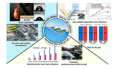 생체모방, 기체 분리 포집, 분리막 없는 인공잎의 개요도