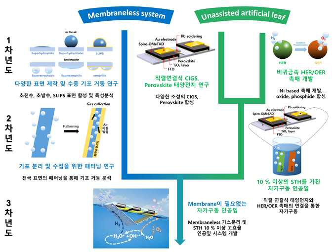 연구 수행 계획 모식도