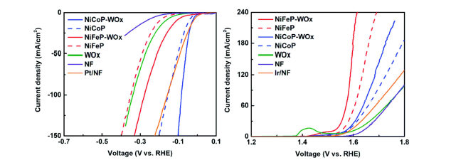 산호초 모방 촉매의 구조의 HER, OER 성능 개선