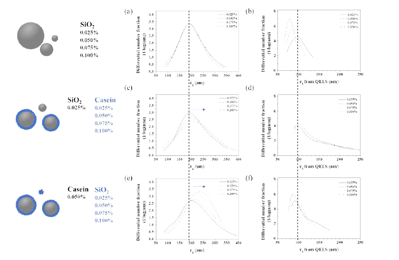 SiO2와 Casein 사이의 분해, 응집, 흡착거동