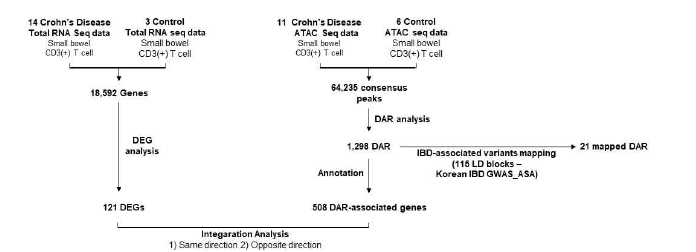 Schematic design of a typical ATAC-seq and Total RNA seq analysis