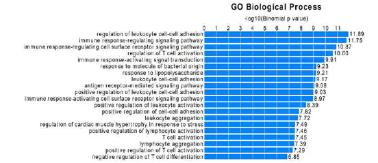 Pathway enrichment analysis, Input : 1,298 DAR(by GREAT)