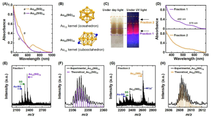 (A) Au25(SG)18와 Au23(SG)16의 자외선-가시광선 흡수 스펙트럼. (B) Au25(SG)18와 Au23(SG)16의 코어 구조 비교. (C-H) ESI-MS 기반 질량 분석기를 통한 Au25(SG)18와 Au23(SG)16의 구조 분석