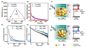 (A) Au25(SG)18와 Au23(SG)16의 형광 스펙트럼. (B) Au25(SG)18와 Au23(SG)16의 시분해 형광 스펙트럼. (C) Au25(SG)18와 Au23(SG)16의 광전극에서 발생하는 상이한 전자전이 경로, (D, E) Au25–TiO2, Au25–ZrO2, Au23–TiO2, Au23–ZrO2 의 시분해 형광 스펙트럼 비교
