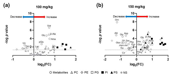 oTR 투여에 의해 유도된 폐암 종양에서 100 mg/kg (a) 및 150mg/kg (b)의 변경된 대사 산물 및 지질의 화산 플롯. 회색 점선은 p 값을 나타냄 (p < 0.05). PC, phosphatidylcholine; PE, phosphatidylethanolamine; PG, phosphatidylglycerol; PI, phosphatidylinositol; PS, phosphatidylserine; NS, no significant difference; AA, ascorbate; Ama, aminomalonate; Asp, aspartate; β-Ala, β -alanine; Cir, citrate; Gluc, glucose; Glu, glutamate; Glyc, glycerol; Gly, glycine; Lac, lactate; myo-ino, myo-inositol; Orn, ornithine; Phe, phenylalanine; Pro, proline; pGlu, pyroglutamate; Ser, serine; Thr, threonine; Ura, uracil; Uri, uridine
