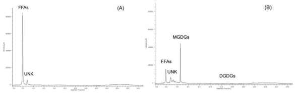 실리카 컬럼 크로마토그래피를 통해 수득된 (A) 클로로포름 분획물과 (B) 아세톤 분획물의 LC-ELSD 크로마토그램. Abbreviations: FFAs, free fatty acids; UNK; unknown peak; MGDGs, monogalactosyldiacylglycerols; and DGDGs, digalactosyldiacylglycerols