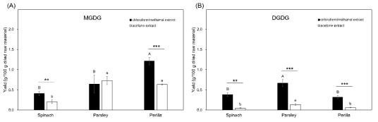 클로로포름:메탄올 (2:1, v/v)과 아세톤 추출물에서의 (A) MGDG 수율과 (B) DGDG 수율