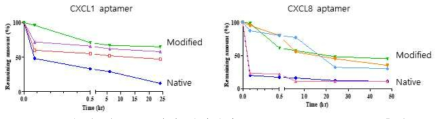 2‘-OMe 치환 압타머의 in vitro serum stability 측정