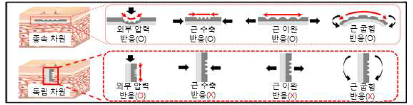 독립차원을 통한 동적 노이즈 제거