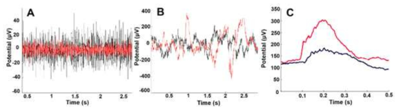 원숭이 뇌의 primary visual cortex (V1) 에서의 신경신호 측정. A: 노이즈 레벌 측정, B: Local field potential (LFP)의 가공 전 데이터, C: 시각 자극 후 LFP의 가공된 데이터. 빨간색 : L2-ePt 전극, 검은색: 상용화된 전극